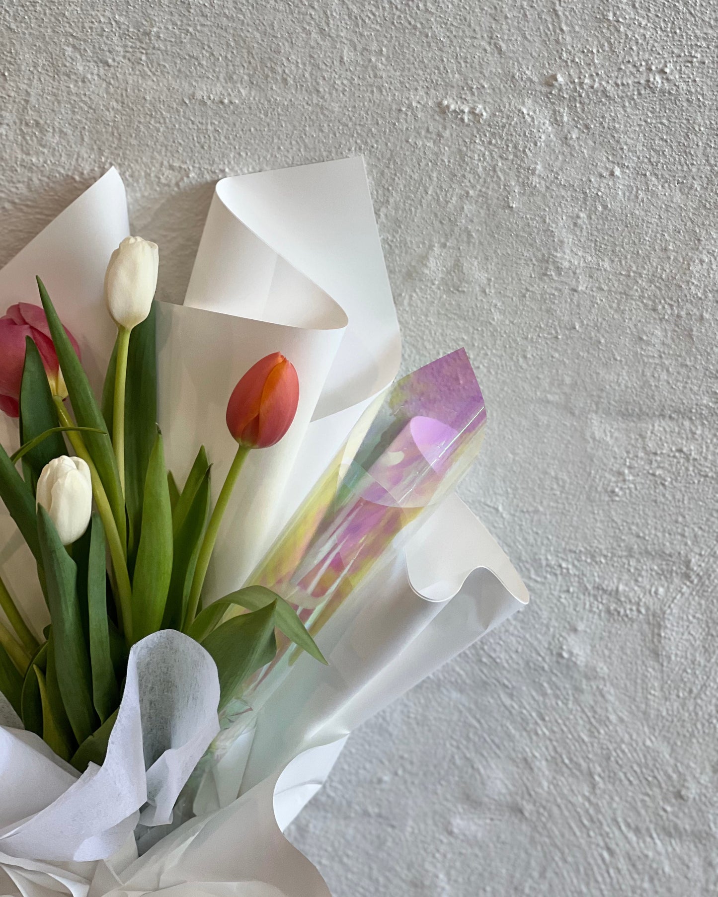 Tranquil Tulips En Masse